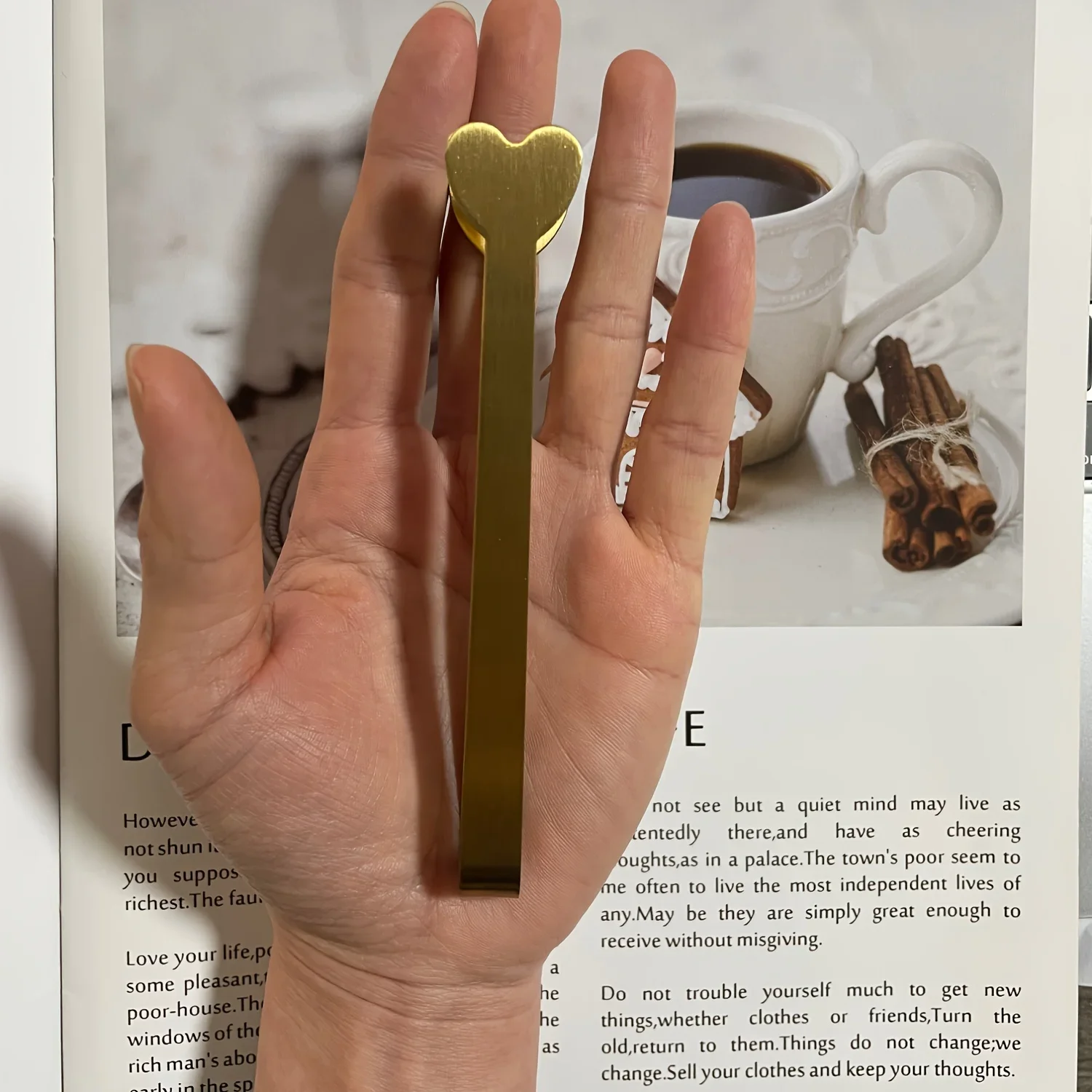 Stainless Steel Heart-Shaped M - огляд і ціна Coffee Tea Day