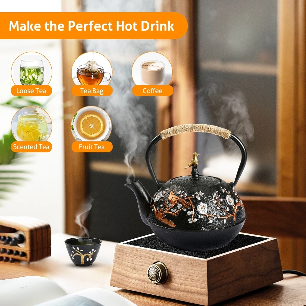 Cast Iron Teapot Set with Alco - огляд і ціна Cast Iron Teapot